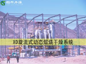 XD旋流式動態(tài)煅燒干燥系統(tǒng)
